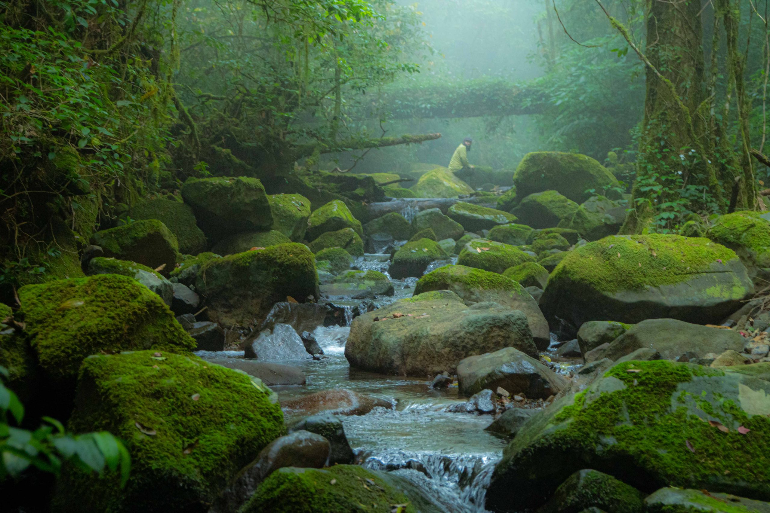 Trekking Bidoup - Tà Giang - Mây Adventure